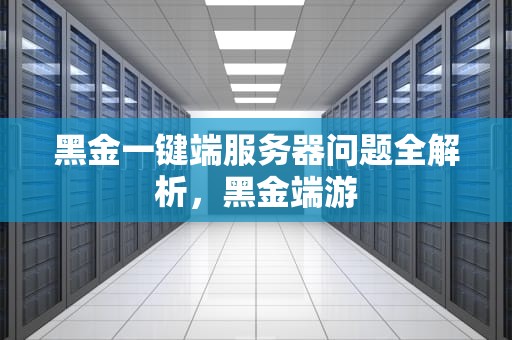 黑金一键端服务器问题全解析，黑金端游