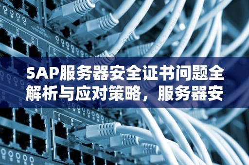SAP服务器安全证书问题全解析与应对策略，服务器安全证书出现问题 安全证书并非