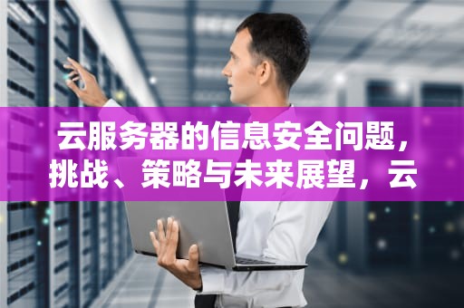 云服务器的信息安全问题，挑战、策略与未来展望，云服务器的信息安全问题有哪些