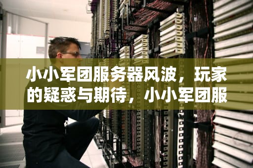 小小军团服务器风波，玩家的疑惑与期待，小小军团服务器老是连不上