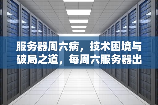 服务器周六病，技术困境与破局之道，每周六服务器出现问题怎么回事