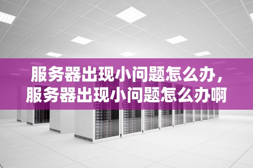 服务器出现小问题怎么办，服务器出现小问题怎么办啊