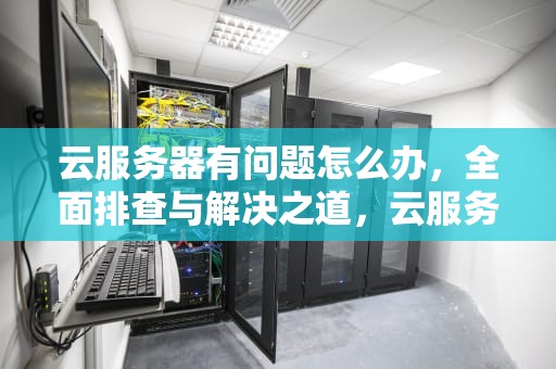 云服务器有问题怎么办，全面排查与解决之道，云服务器有问题怎么办啊