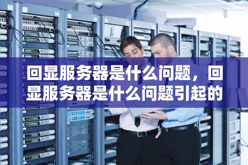 回显服务器是什么问题，回显服务器是什么问题引起的