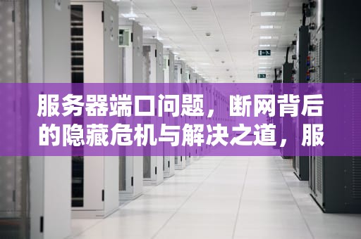 服务器端口问题，断网背后的隐藏危机与解决之道，服务器端口问题导致断网怎么办