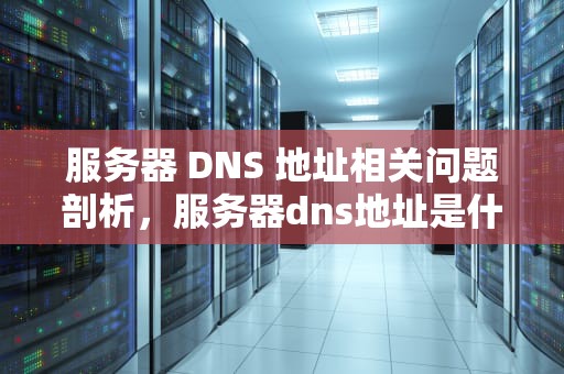 服务器 DNS 地址相关问题剖析，服务器dns地址是什么问题啊