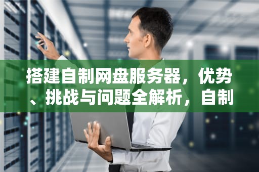 搭建自制网盘服务器，优势、挑战与问题全解析，自制网盘服务器有问题吗安全吗