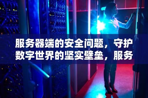 服务器端的安全问题，守护数字世界的坚实壁垒，服务器端的安全问题有哪些