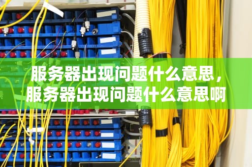 服务器出现问题什么意思，服务器出现问题什么意思啊