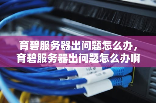 育碧服务器出问题怎么办，育碧服务器出问题怎么办啊