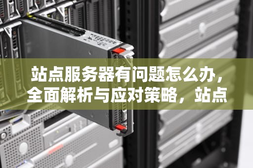 站点服务器有问题怎么办，全面解析与应对策略，站点服务器有问题怎么办啊