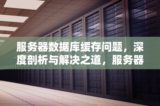 服务器数据库缓存问题，深度剖析与解决之道，服务器数据库缓存问题吗能解决吗