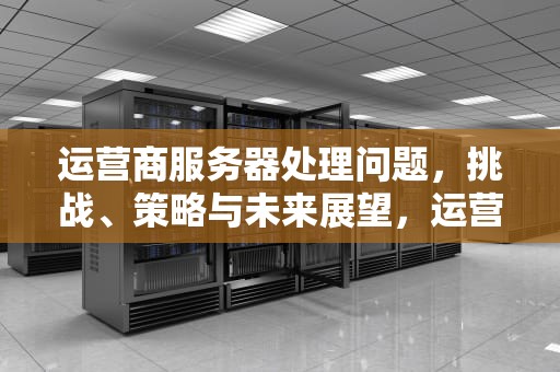 运营商服务器处理问题，挑战、策略与未来展望，运营商服务器出错怎么弄