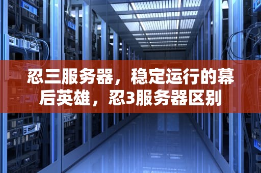忍三服务器，稳定运行的幕后英雄，忍3服务器区别