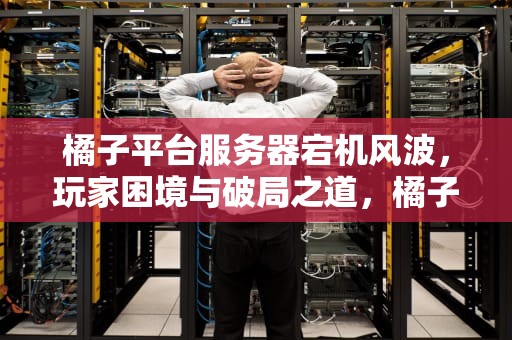 橘子平台服务器宕机风波，玩家困境与破局之道，橘子平台服务器出现问题怎么解决