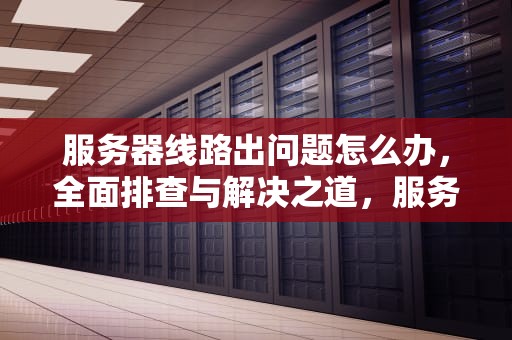 服务器线路出问题怎么办，全面排查与解决之道，服务器线路出问题怎么办啊