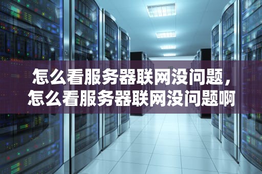 怎么看服务器联网没问题，怎么看服务器联网没问题啊