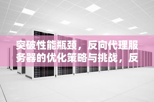 突破性能瓶颈，反向代理服务器的优化策略与挑战，反向代理服务器的瓶颈问题有哪些