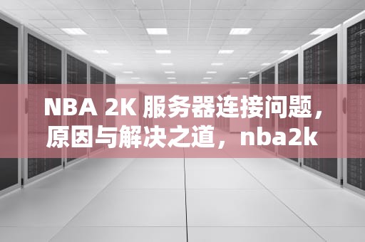 NBA 2K 服务器连接问题，原因与解决之道，nba2k服务器连接出现问题
