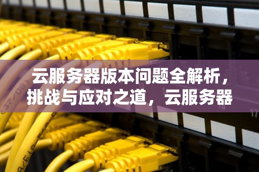 云服务器版本问题全解析，挑战与应对之道，云服务器版本问题有哪些原因