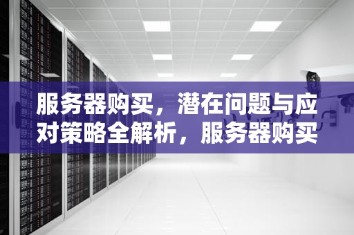 服务器购买，潜在问题与应对策略全解析，服务器购买会出现问题吗知乎