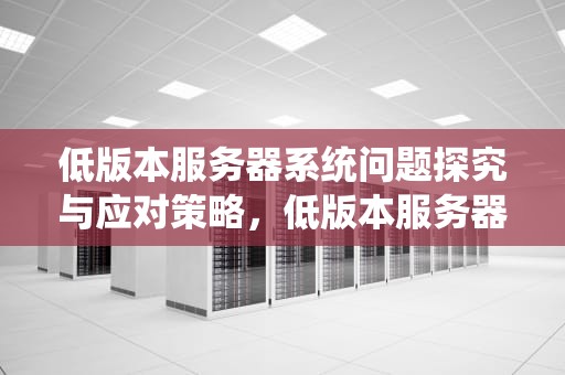 低版本服务器系统问题探究与应对策略，低版本服务器系统问题吗安全吗
