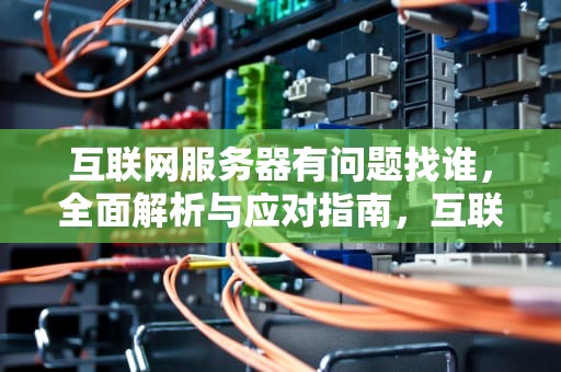 互联网服务器有问题找谁，全面解析与应对指南，互联网服务器有问题找谁解决