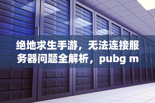 绝地求生手游，无法连接服务器问题全解析，pubg mobile无法连接到服务器