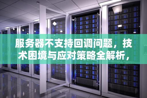 服务器不支持回调问题，技术困境与应对策略全解析，服务器不支持回调问题怎么办