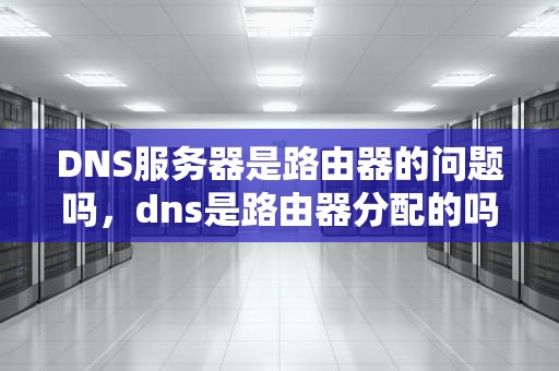 DNS服务器是路由器的问题吗，dns是路由器分配的吗