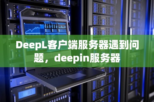 DeepL客户端服务器遇到问题，deepin服务器