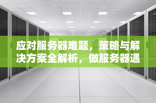 应对服务器难题，策略与解决方案全解析，做服务器遇到问题怎么办呢