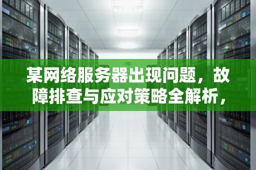 某网络服务器出现问题，故障排查与应对策略全解析，某网络服务器出现问题怎么解决