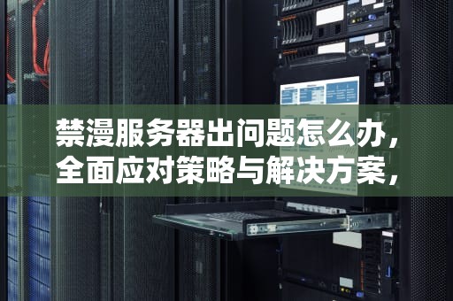 禁漫服务器出问题怎么办，全面应对策略与解决方案，禁漫服务器出问题怎么办啊