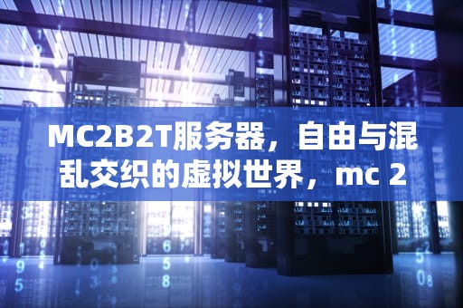 MC2B2T服务器，自由与混乱交织的虚拟世界，mc 2b2t服务器