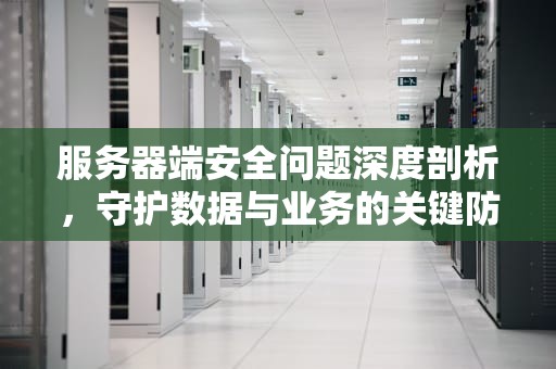 服务器端安全问题深度剖析，守护数据与业务的关键防线，服务器端安全问题有哪些原因