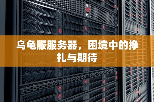 乌龟服服务器，困境中的挣扎与期待