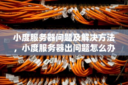 小度服务器问题及解决方法，小度服务器出问题怎么办啊