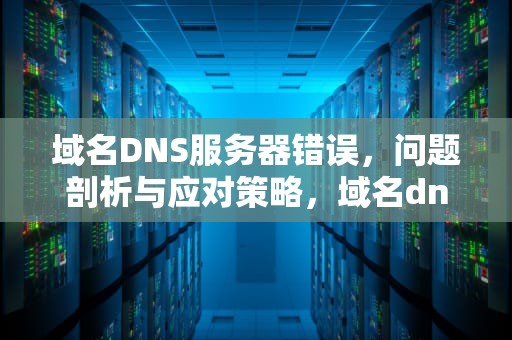 域名DNS服务器错误，问题剖析与应对策略，域名dns错误是什么意思