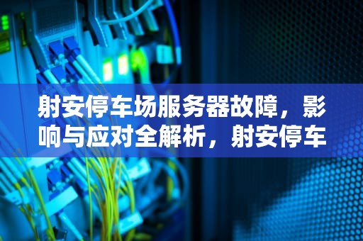 射安停车场服务器故障，影响与应对全解析，射安停车场服务器出问题了吗