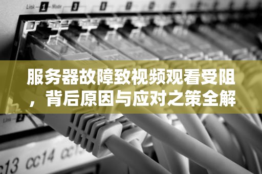 服务器故障致视频观看受阻，背后原因与应对之策全解析，服务器有问题不能看视频怎么办