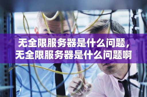 无全限服务器是什么问题，无全限服务器是什么问题啊