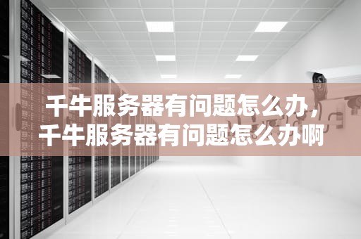 千牛服务器有问题怎么办，千牛服务器有问题怎么办啊