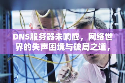 DNS服务器未响应，网络世界的失声困境与破局之道，监测到dns未响应