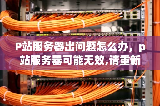 P站服务器出问题怎么办，p站服务器可能无效,请重新载入