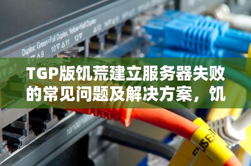 TGP版饥荒建立服务器失败的常见问题及解决方案，饥荒建立服务器失败