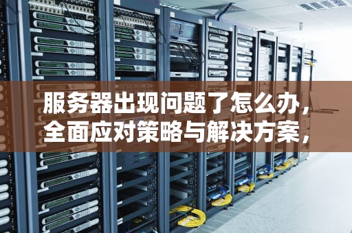 服务器出现问题了怎么办，全面应对策略与解决方案，服务器出现问题了怎么办啊