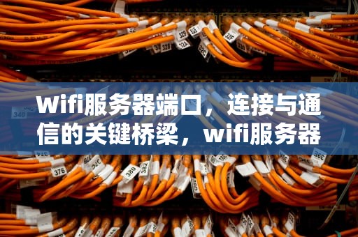 Wifi服务器端口，连接与通信的关键桥梁，wifi服务器端口是什么问题啊