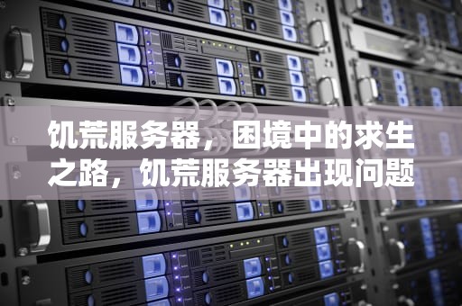 饥荒服务器，困境中的求生之路，饥荒服务器出现问题