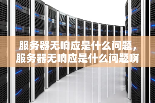 服务器无响应是什么问题，服务器无响应是什么问题啊
